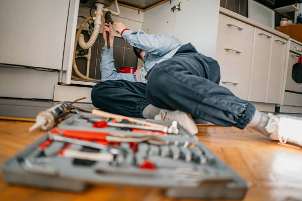 Best Affordable Plumber Near Me  in Wren, AR