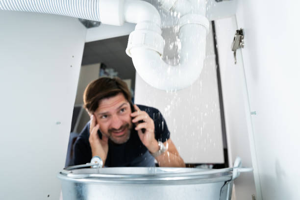 Best Emergency Plumbing Repair  in Wren, AR