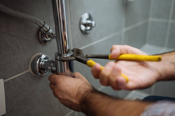 Best Local Plumber Services  in Wren, AR