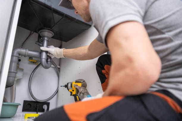 Best Clogged Drain Plumber  in Wren, AR